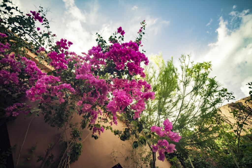 La Terrasse Des Delices Bed & Breakfast Fint Exterior foto